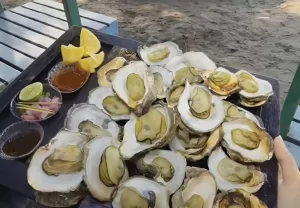 Wisata Sekaligus Kuliner, Lezatnya Tiram Bakar di Pantai Ngebum Kendal