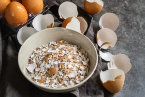 Cangkang Telur Lebih dari Sekadar Pupuk, Apa Saja Manfaatnya?