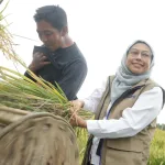 Serapan Gabah BULOG Capai 3 Juta Ton, Jawa Tengah Sumbang 237 Ribu Ton IMG-20260603-WA0005